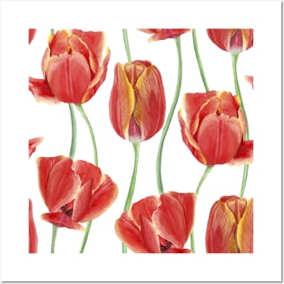 Red watercolor Tulip flowers composition. Spring floral ornament. Vibrant romantic flowers print. Summer vibrant flowers Posters and Art